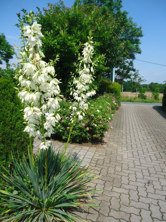 Hotel Fritz 3*
